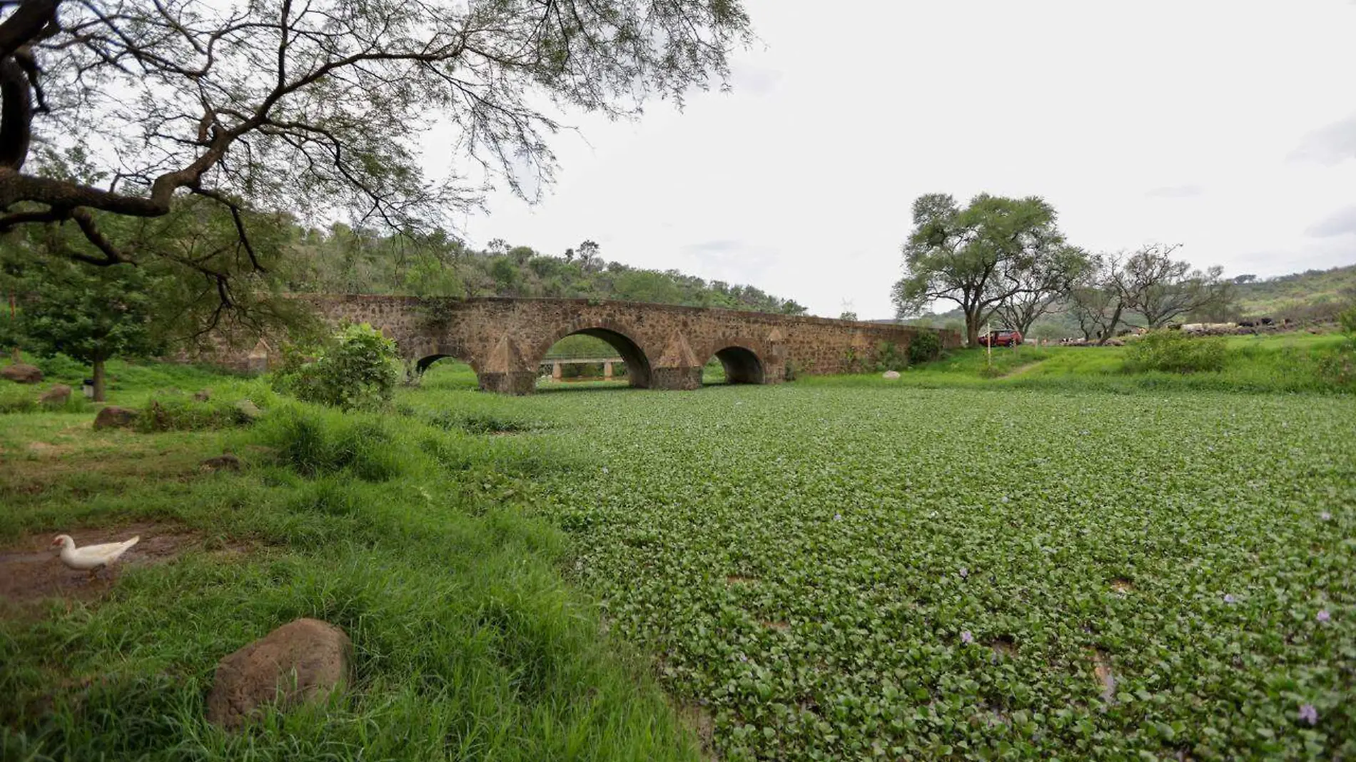 Puente de Calderón FR